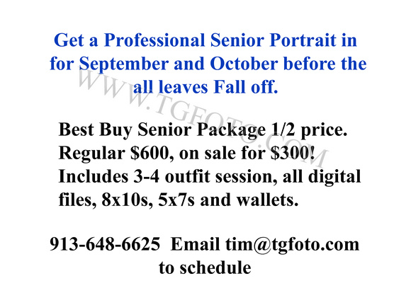 0 Senior Fall Deals Best Buy $300