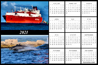 12 X 18  2021 Ship Dolphin