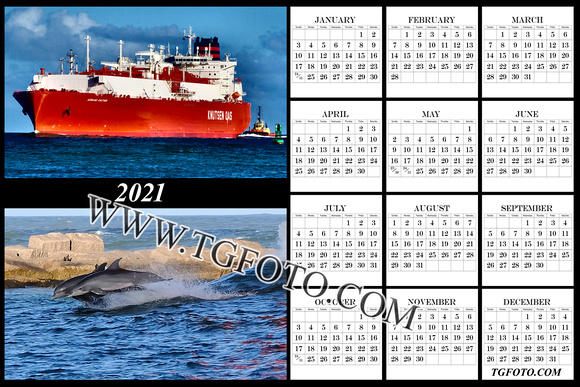 12 X 18  2021 Ship Dolphin